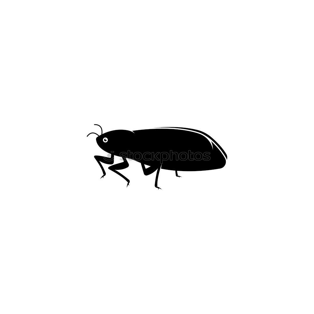 Similar – Image, Stock Photo My bug, your bug… Bow