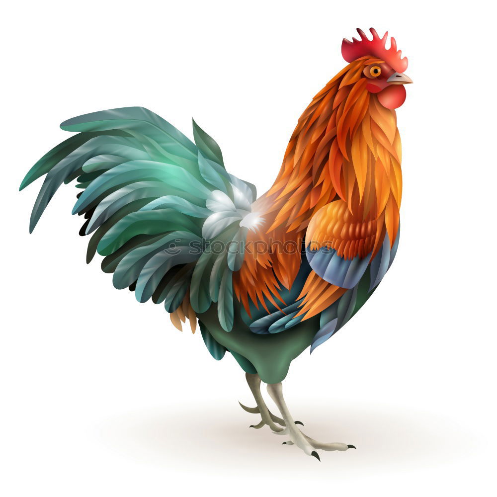 Similar – Image, Stock Photo Brown Leghorn Rooster