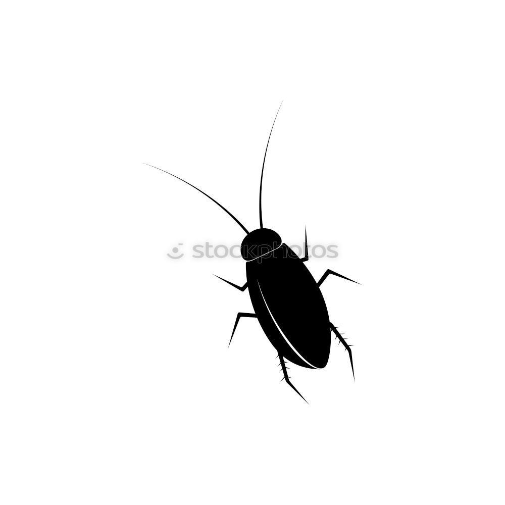 Similar – Foto Bild Bug is over. Schiffsbug