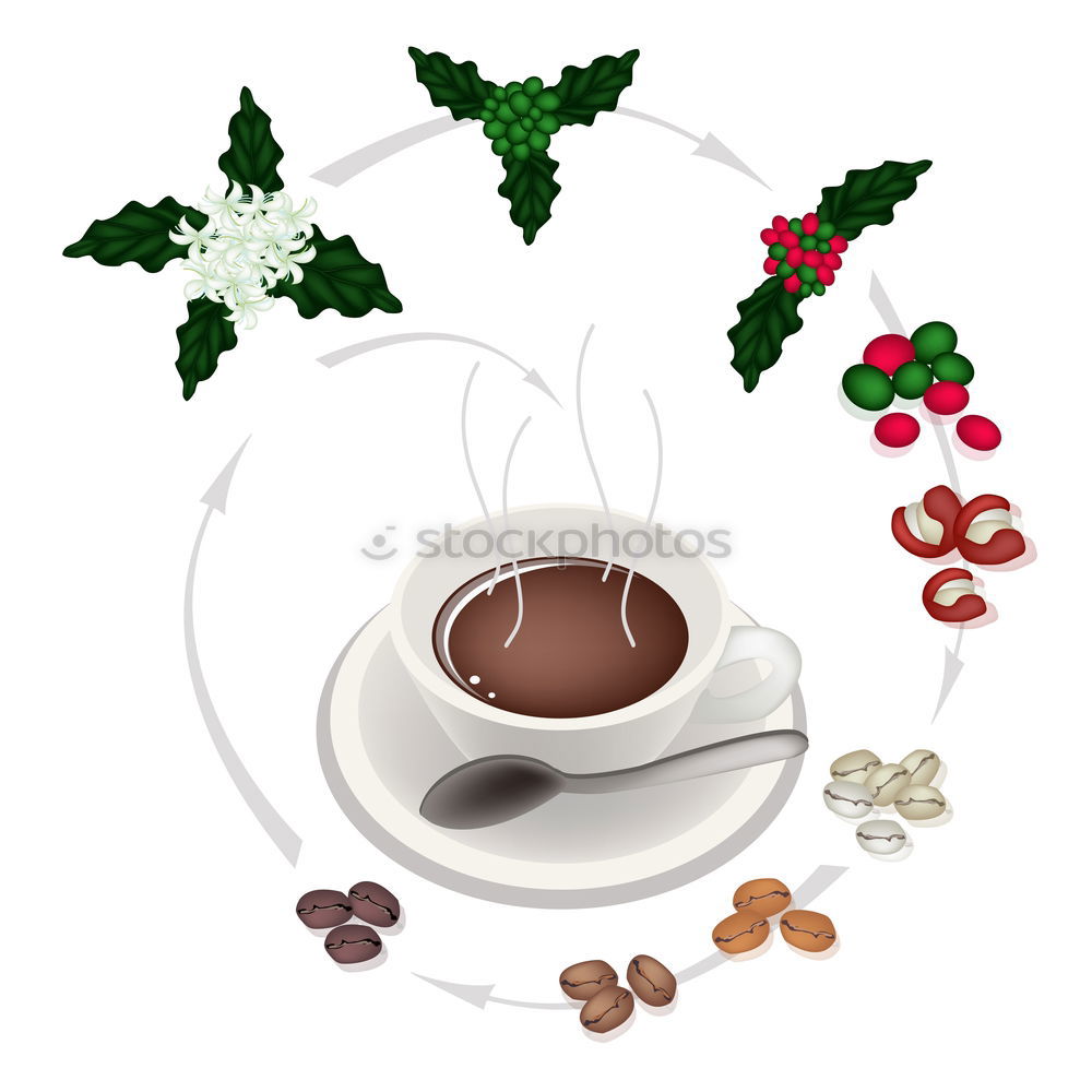 Similar – Christmas candy in the cup with snowflakes