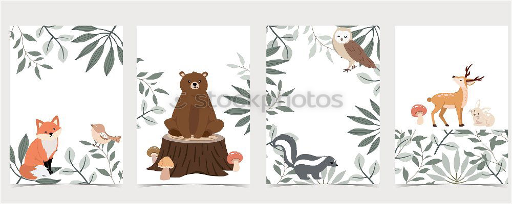 Similar – Image, Stock Photo Pappland Bear Environment