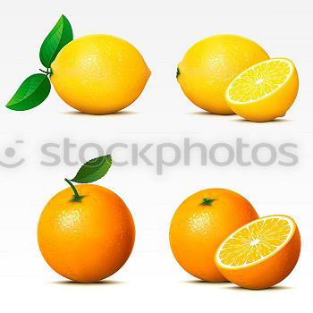 Jammy Oranges on Blue