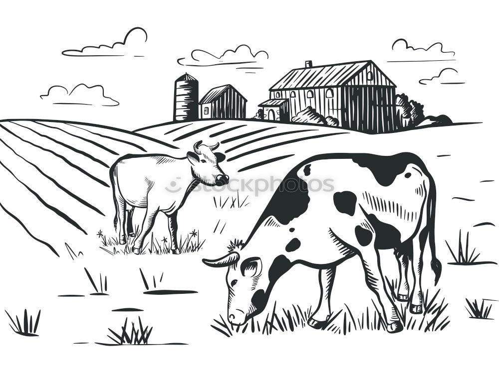 Similar – Image, Stock Photo organic milk Cow