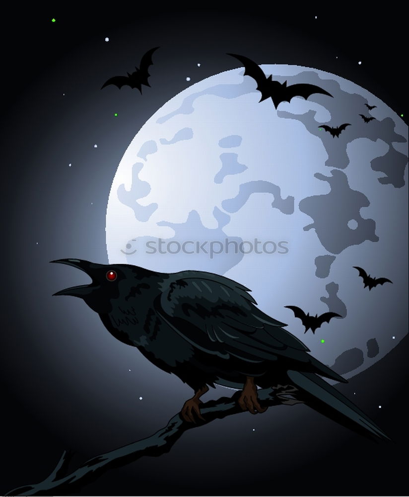 Similar – Image, Stock Photo Bremen night shift Crow