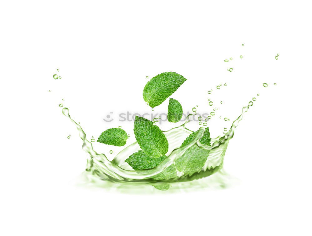 Similar – Image, Stock Photo Water bottle with green leaves