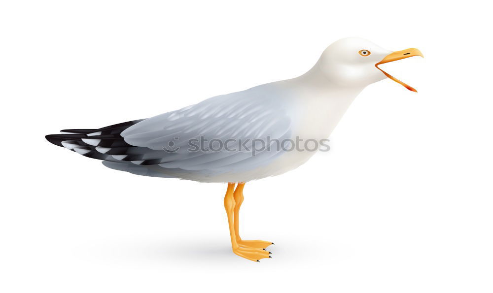 Similar – Image, Stock Photo Mobile old bread destruction unit in Zingst