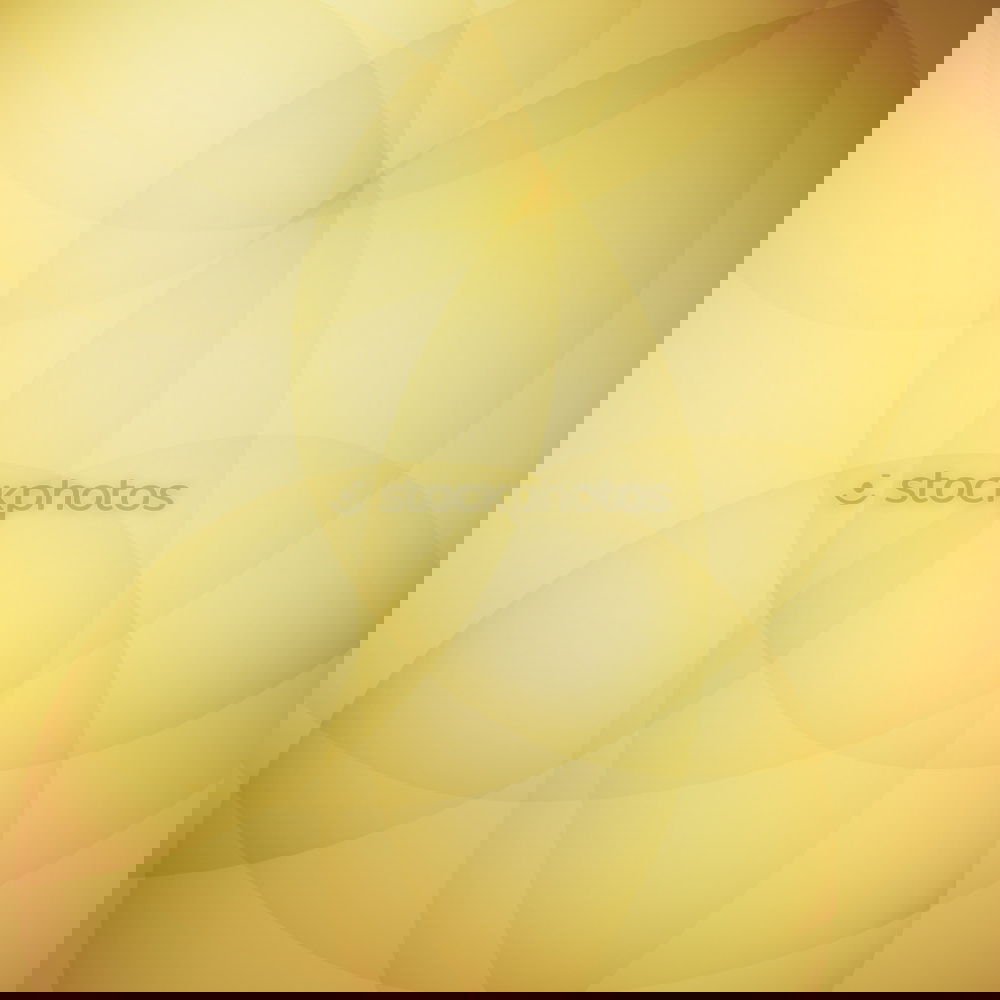 Similar – Image, Stock Photo discreet