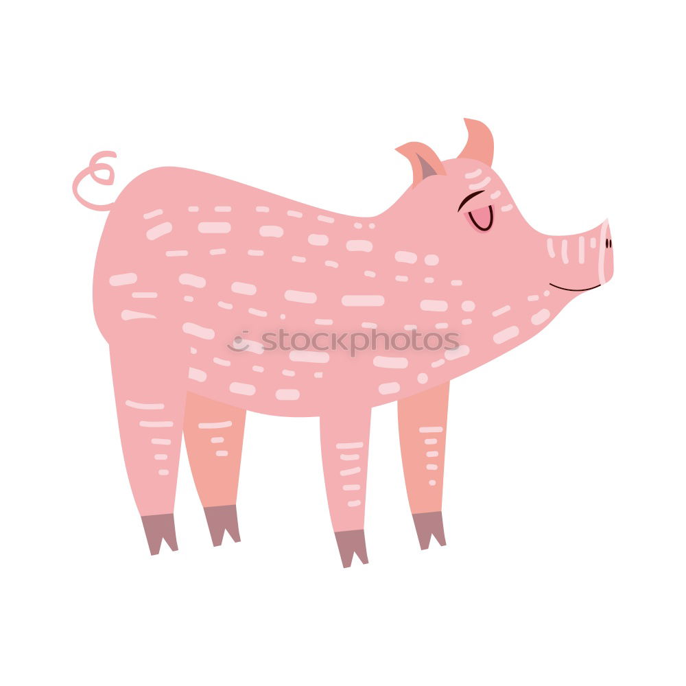 Image, Stock Photo pigs’ EIRY Food Meat