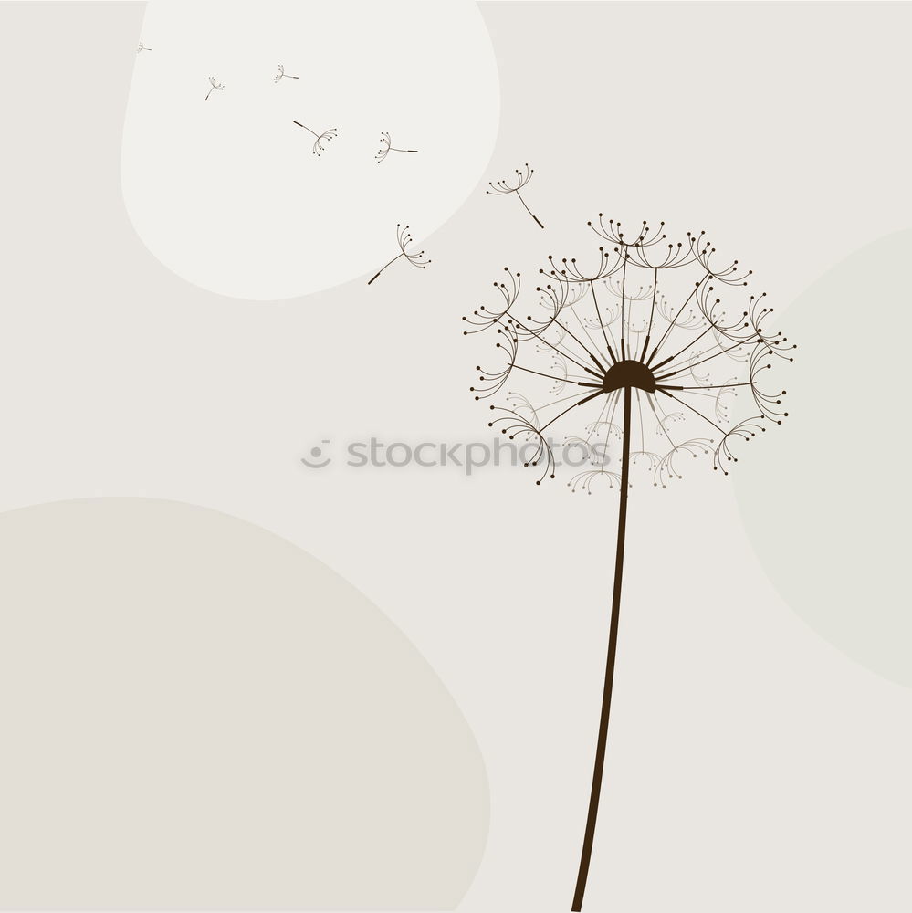 Similar – Image, Stock Photo autumnal winter Sign