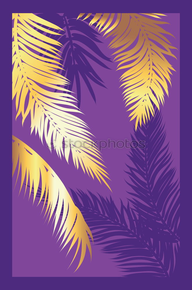 Similar – palm tree on purple background