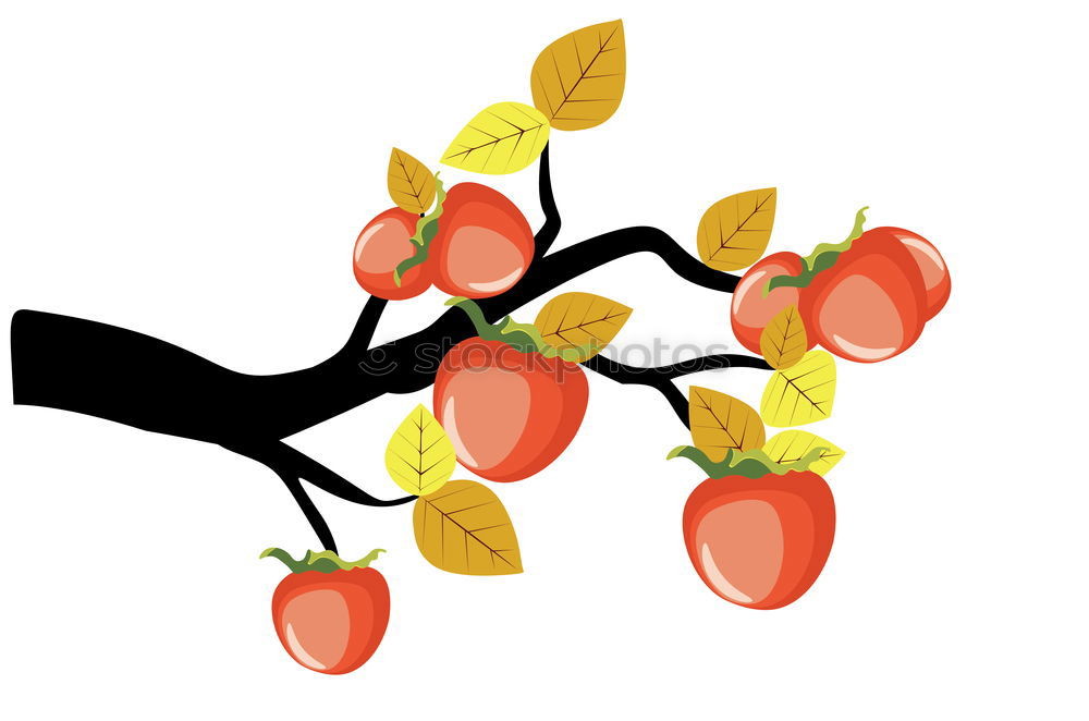Similar – Image, Stock Photo Mirabelle plums V Food
