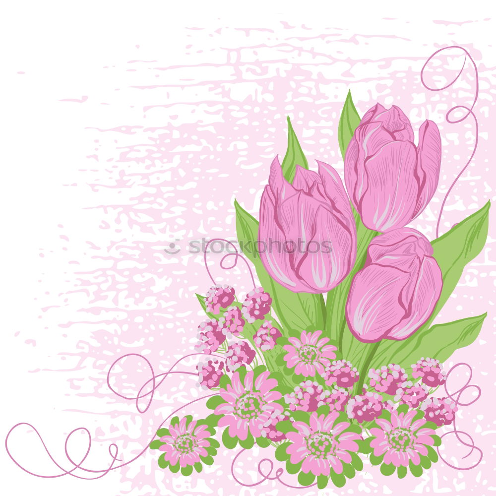 Similar – Image, Stock Photo Mother’s Day Flower