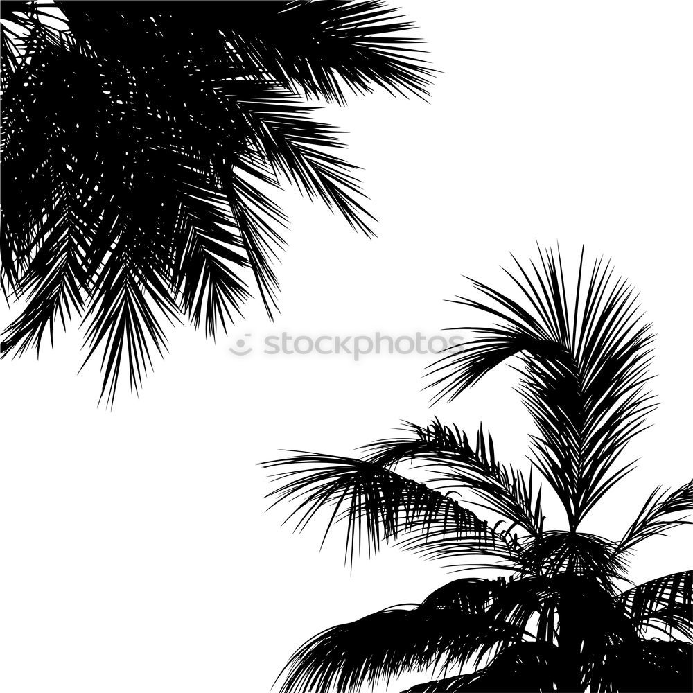 Similar – Image, Stock Photo tropical ornamental plant