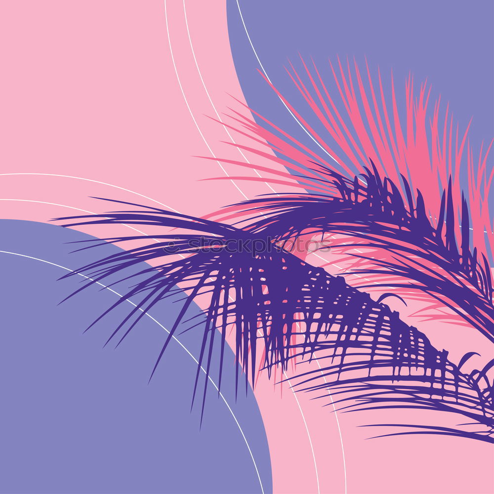 Similar – palm tree on purple background