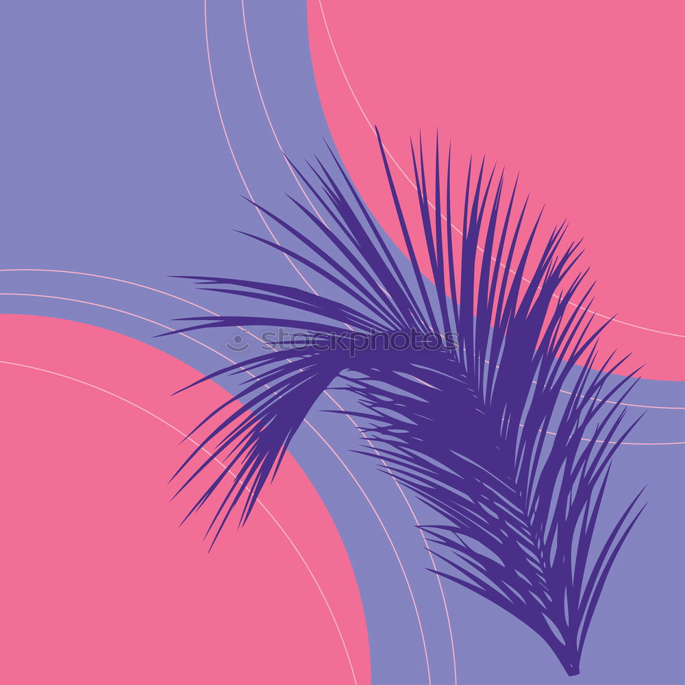 Similar – palm tree on purple background