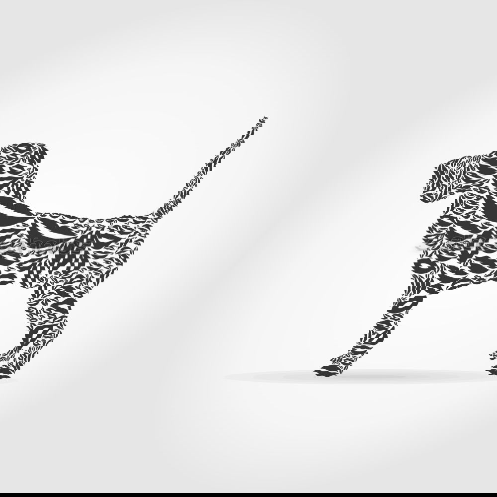 Similar – Image, Stock Photo Look up