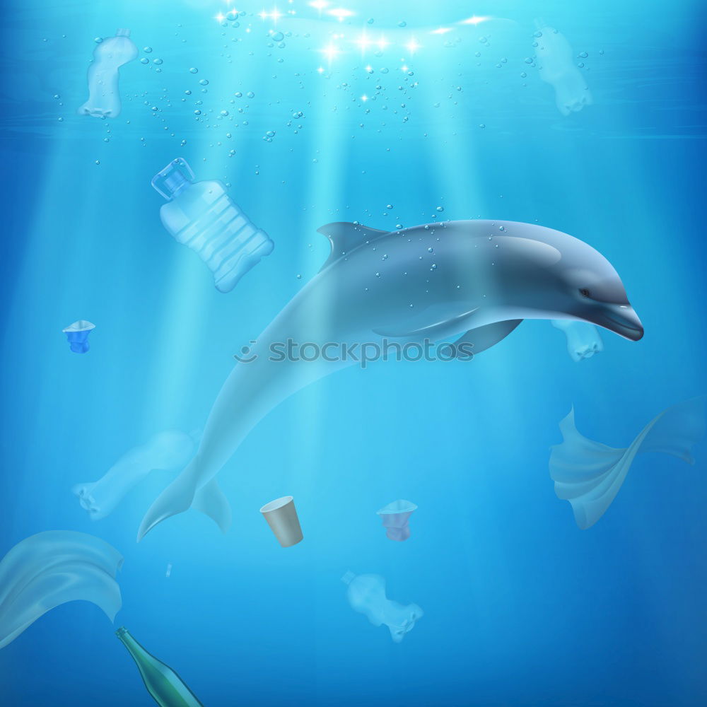 Similar – Dolphin at close range