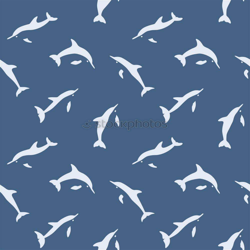 Similar – Image, Stock Photo seagull in flight