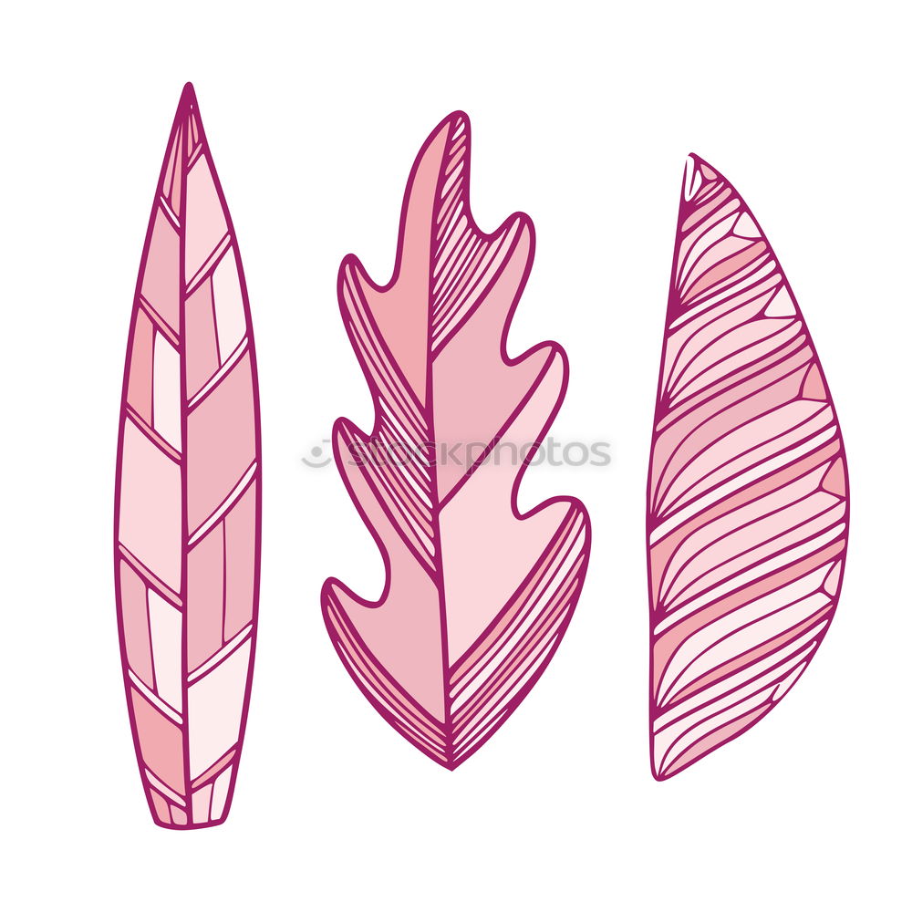 Similar – Image, Stock Photo Purple palm leaves on blue background