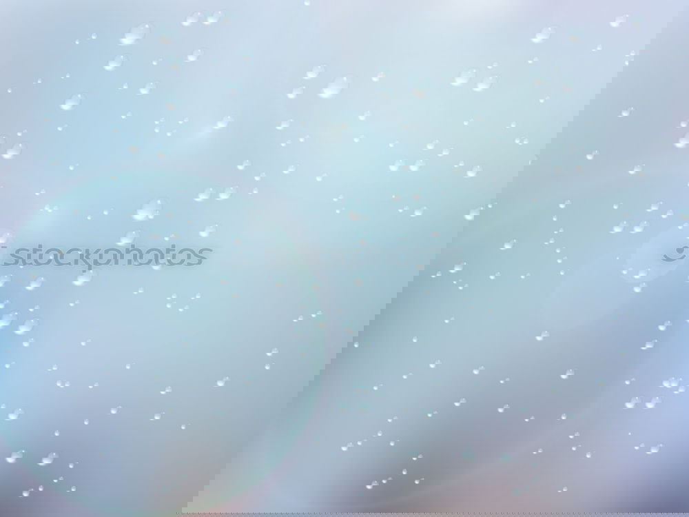 Image, Stock Photo Christmas rush Environment