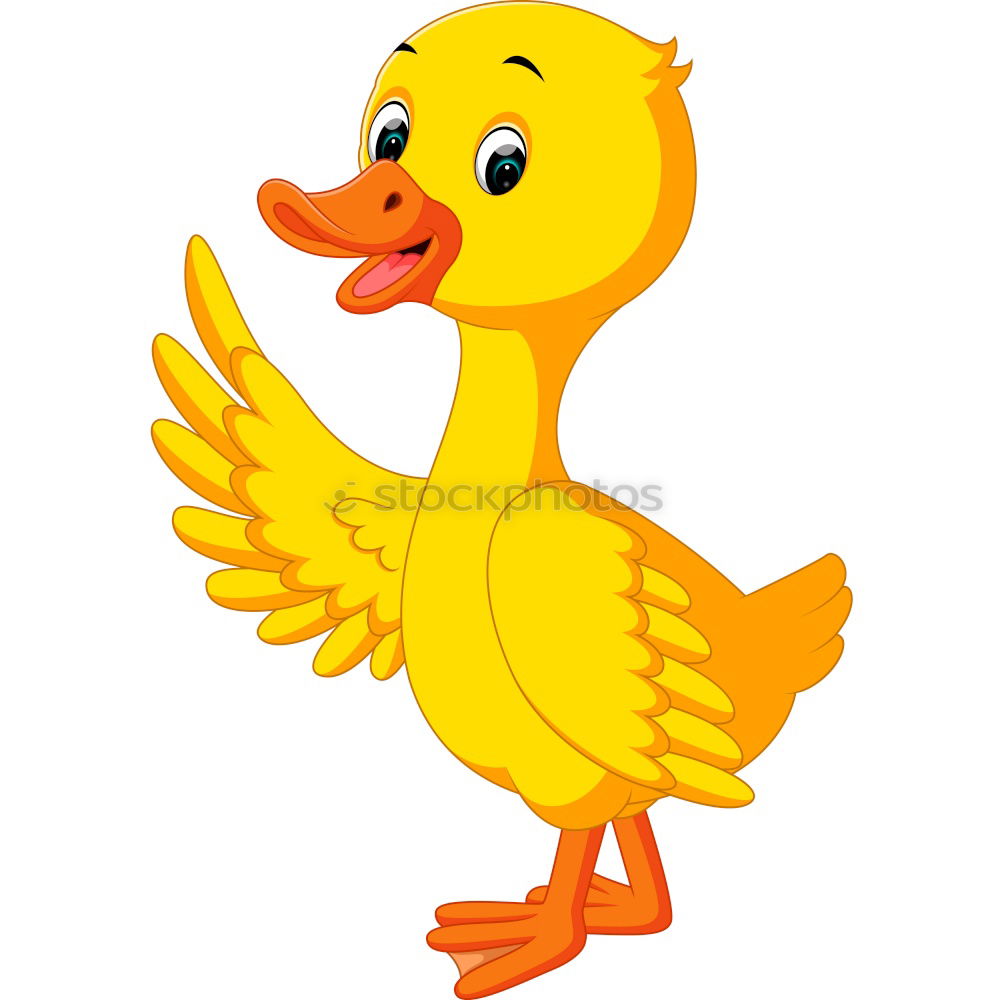 Similar – squeaky duck Squeak duck