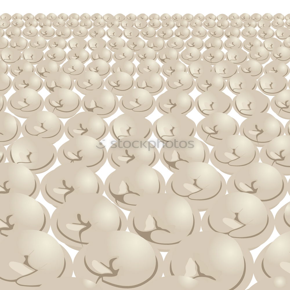 Similar – Image, Stock Photo Jammy Cachu on beige Art