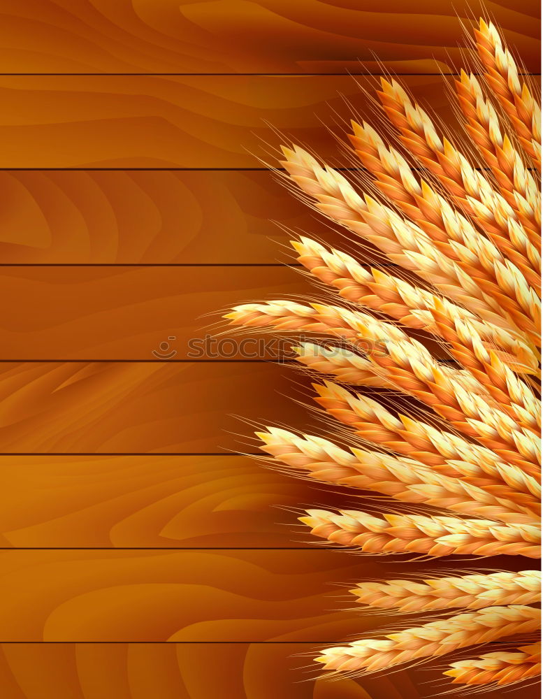 Similar – Image, Stock Photo hamburger Food Meat Roll