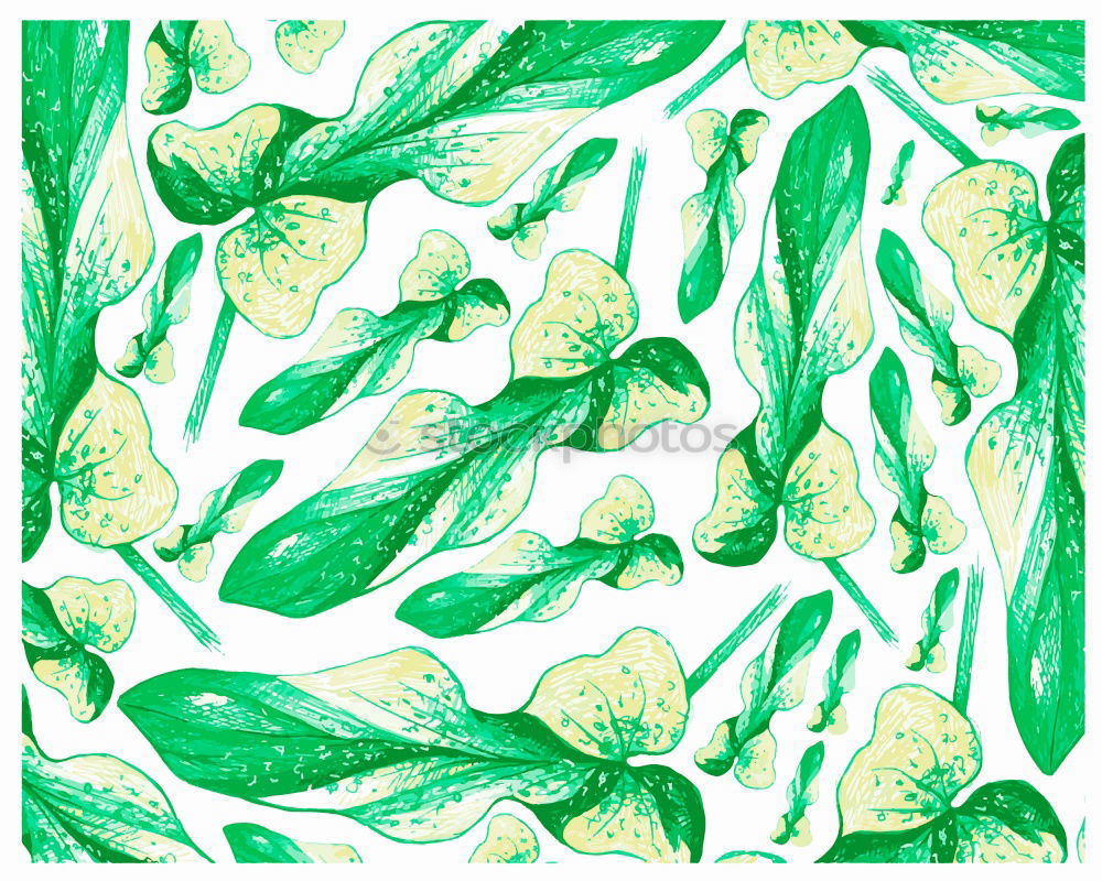 Similar – Image, Stock Photo Layout with various tropical palms and fern leaves