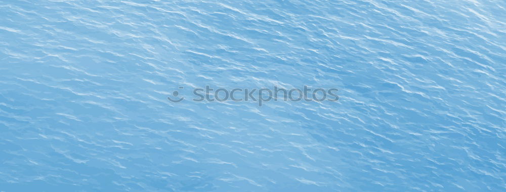 Similar – Image, Stock Photo EAGLE RAY & SHIP HOLDER