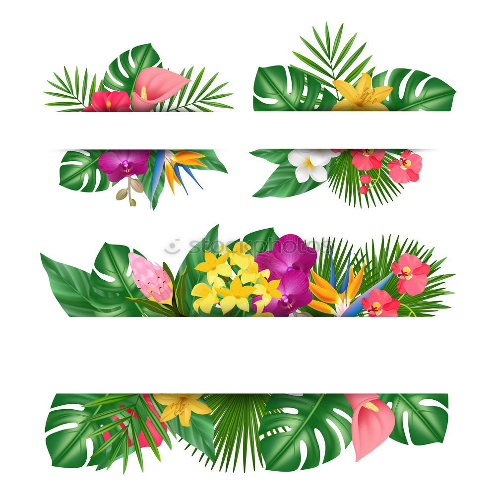 Similar – White background with tropical palm leaves and flowers