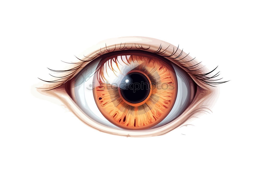 Similar – sidelong glance Pupil