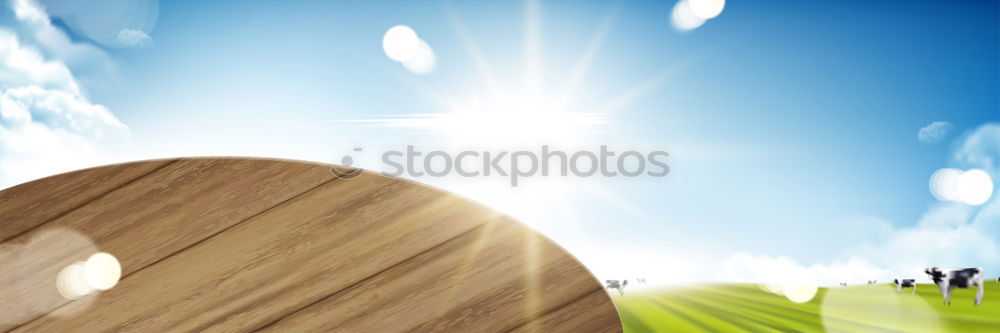 Similar – Image, Stock Photo unpack the sun pt.V