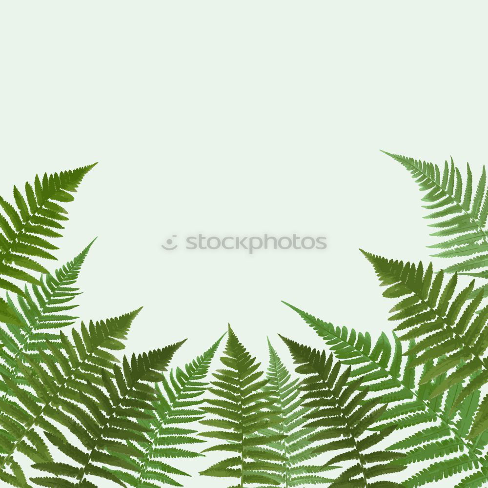 Similar – Cannabis Plants Hemp Green