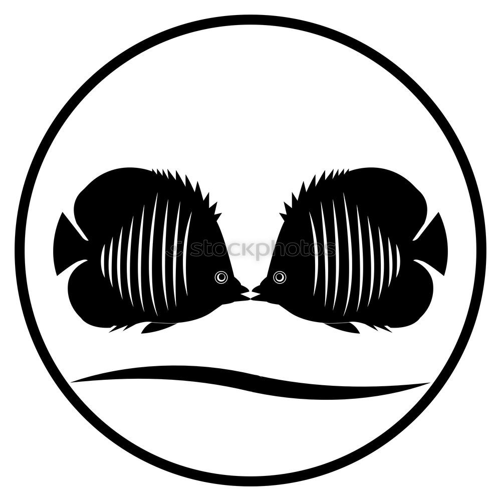 Similar – El Marcello Facial hair