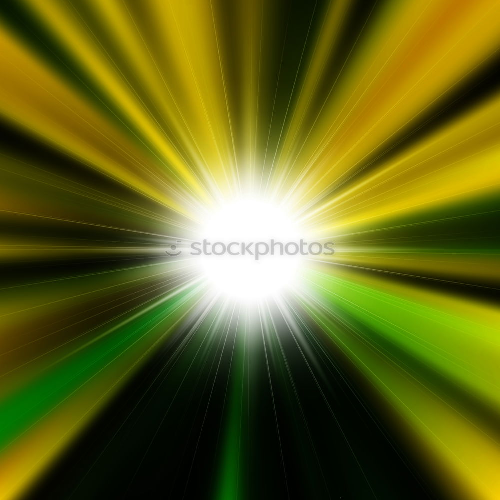 Foto Bild Sun Blume Blühend