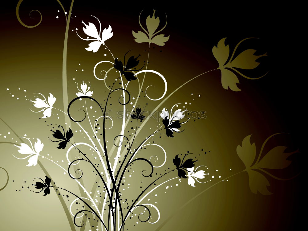 Similar – Image, Stock Photo Blossoming prospects Style