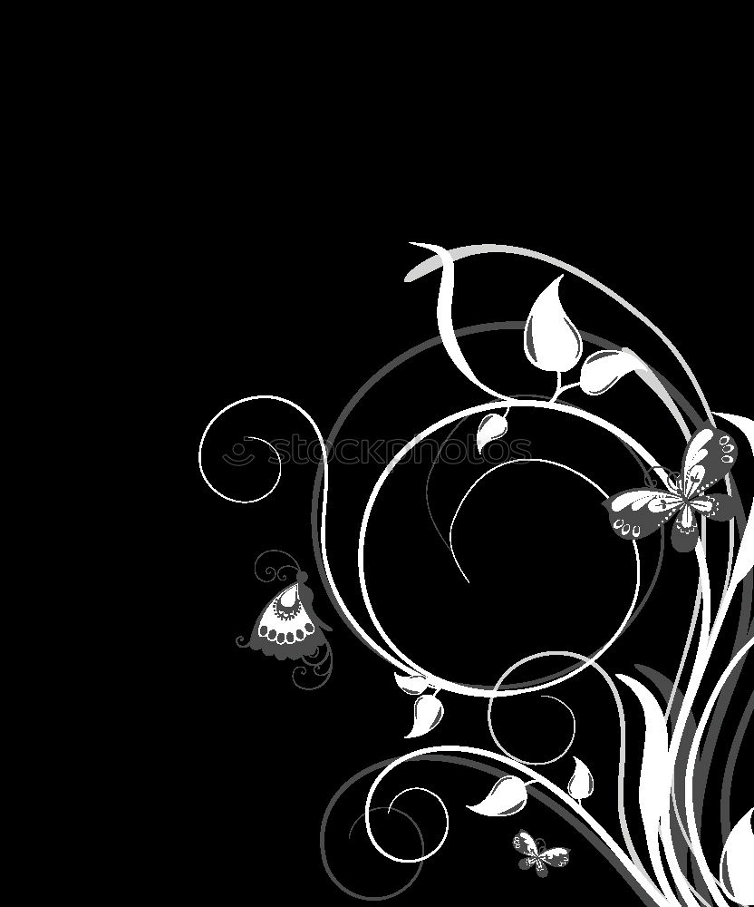 Similar – Image, Stock Photo White Orchid Flower Plant