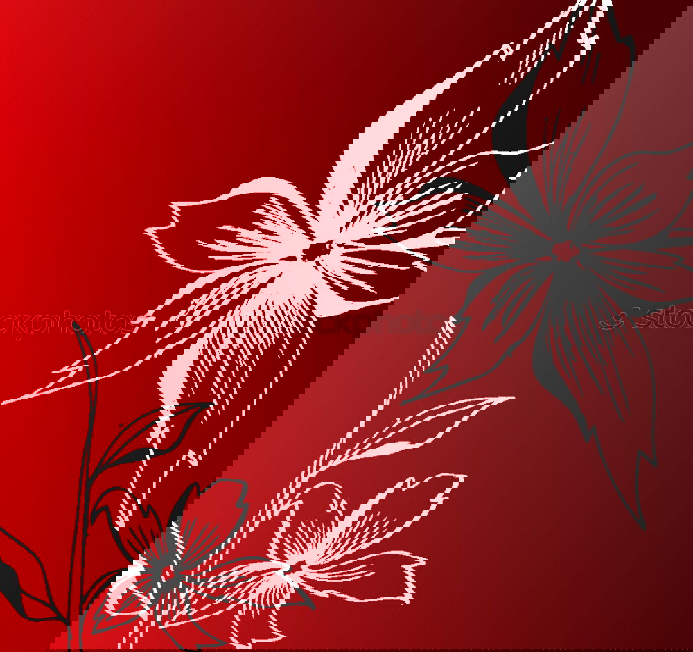 Similar – Image, Stock Photo Autumn leaves in back light