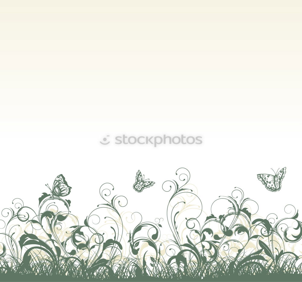 Similar – Image, Stock Photo blooming. Beautiful Summer