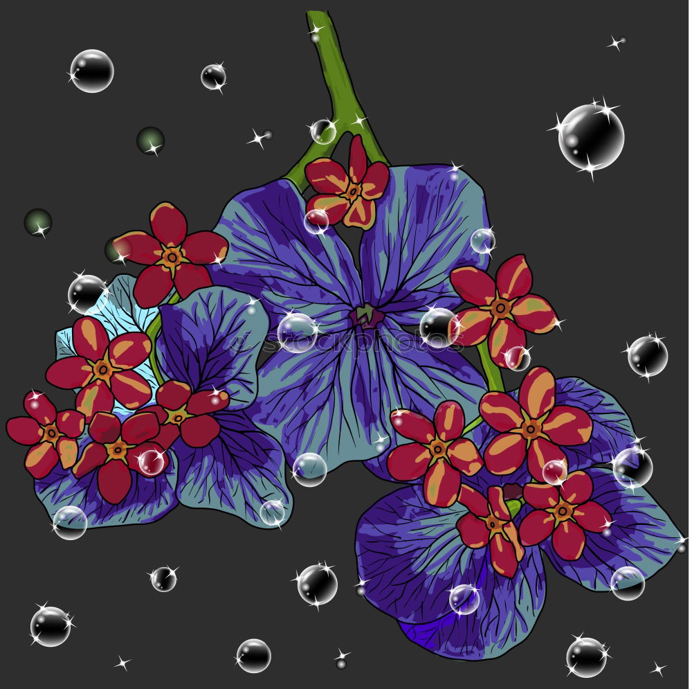 Similar – Flowers and drops