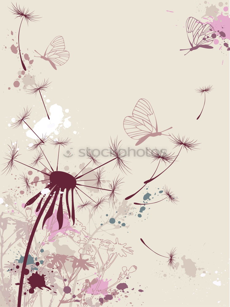 Similar – Image, Stock Photo Pink flowers on blue background