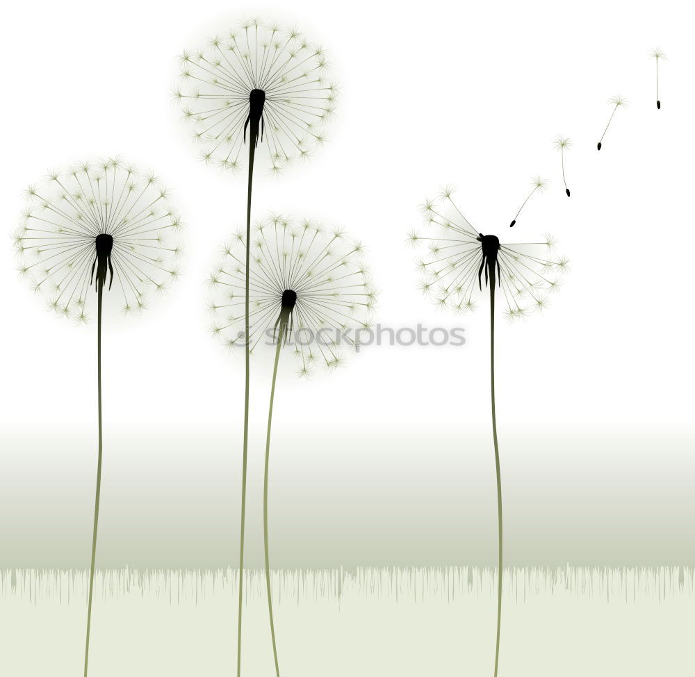 Similar – Image, Stock Photo daisies of the galaxy