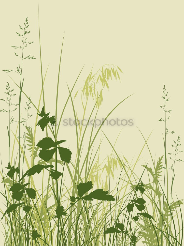 Similar – Image, Stock Photo grass Grass Green Bright