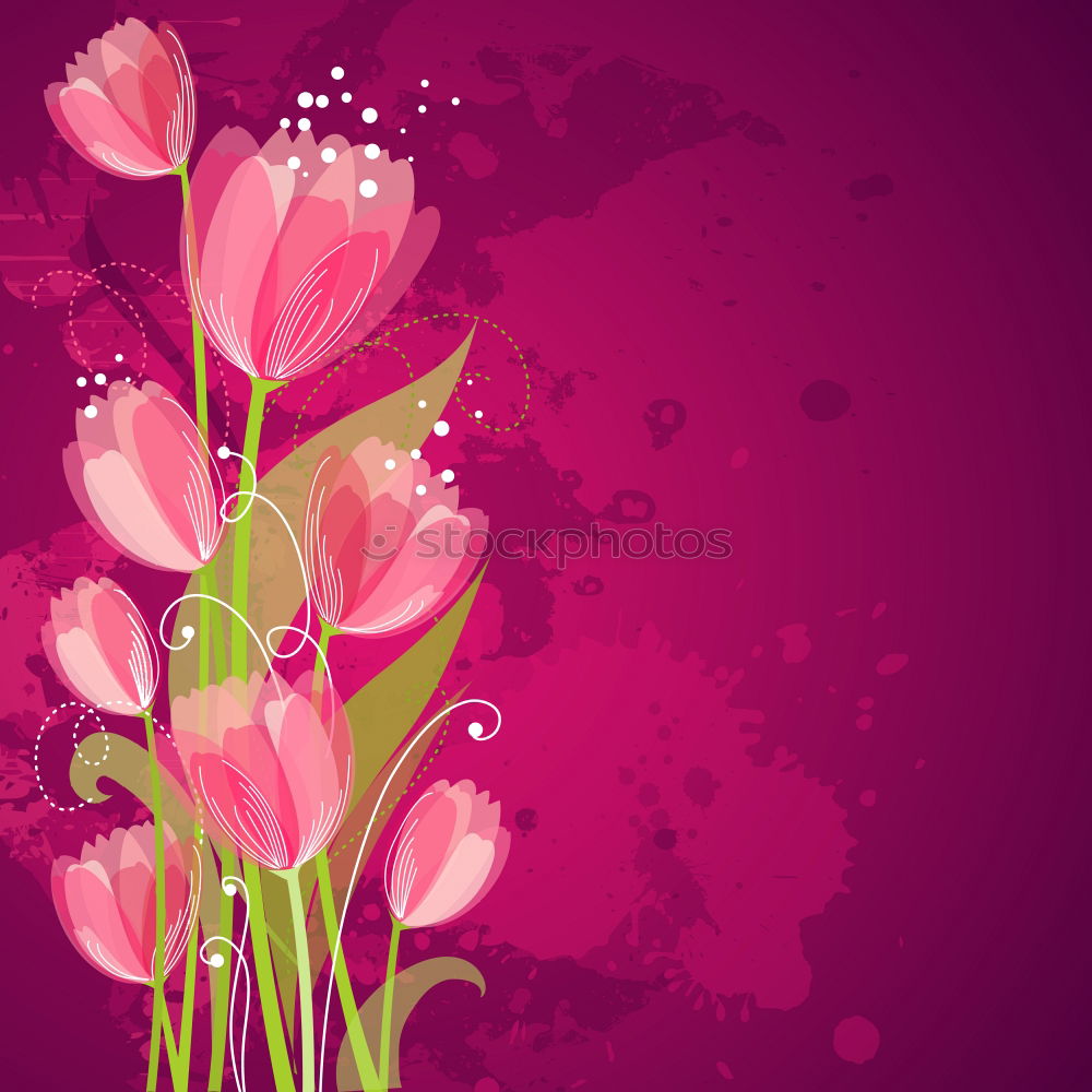 Similar – tulips Tulip Red