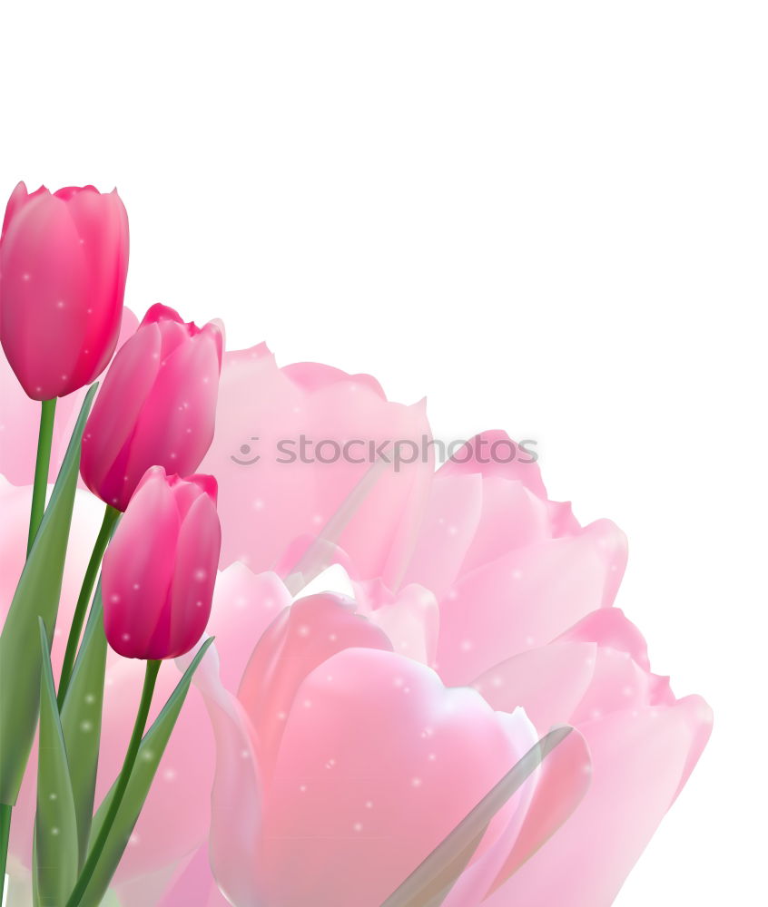 Similar – Image, Stock Photo Pink spring tulips Style