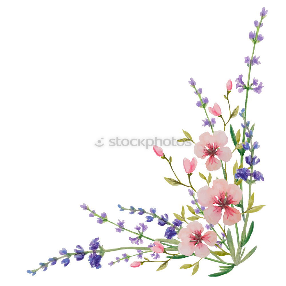 Similar – Image, Stock Photo herbarium Elegant Style