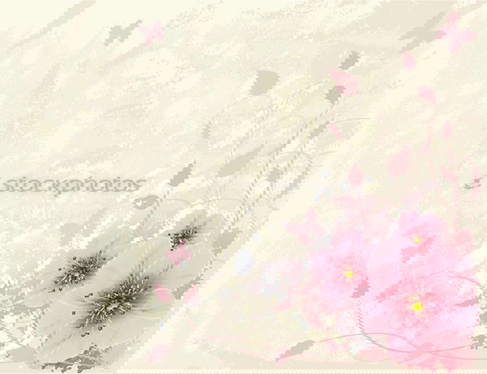 Similar – Foto Bild foto durch eine rosarote brille.