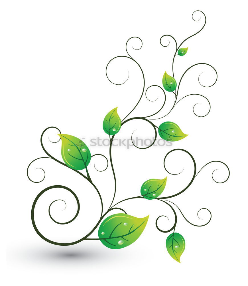 Similar – Image, Stock Photo lily of the valley