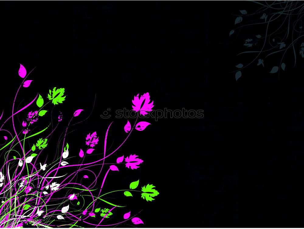 Similar – Image, Stock Photo flower picture in purple