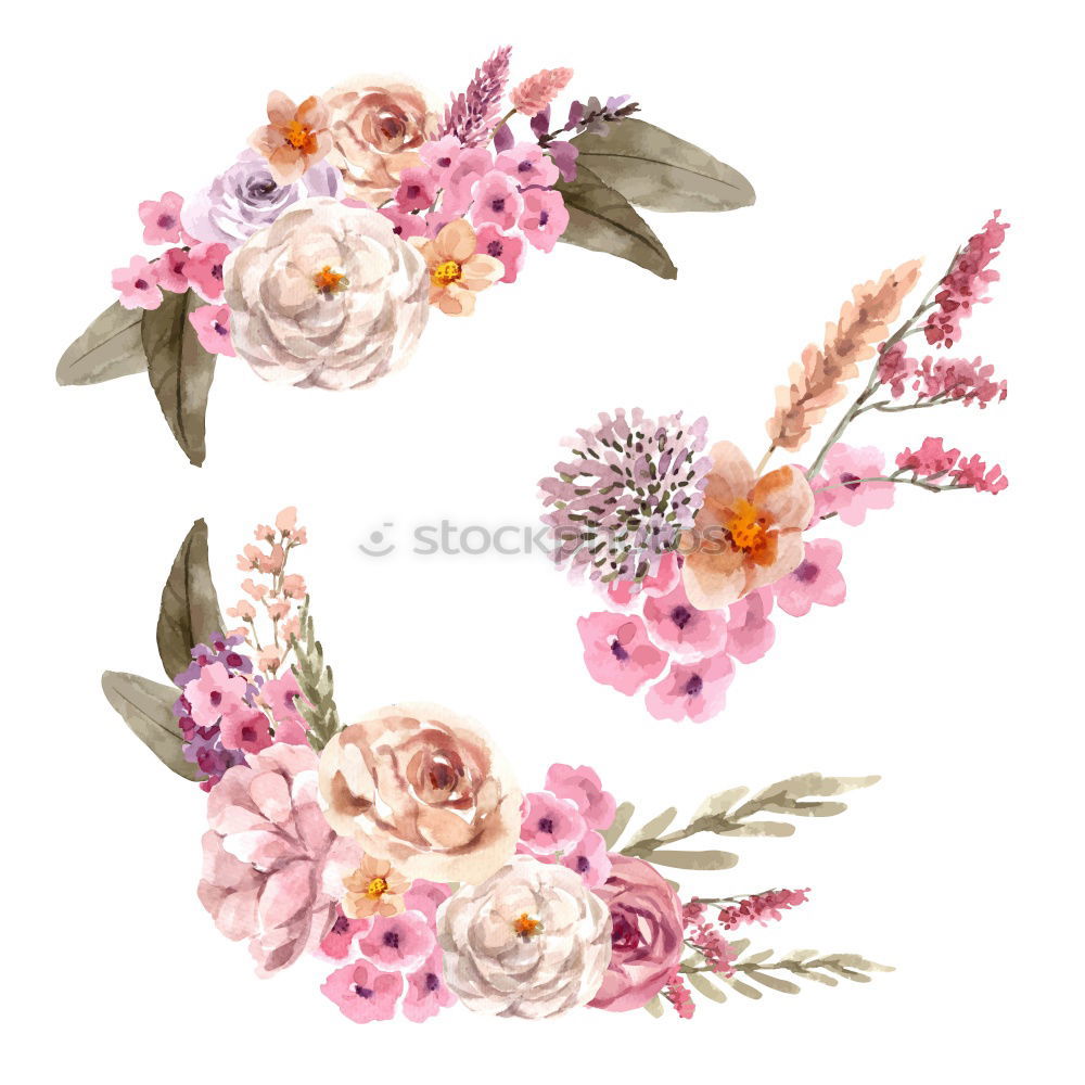 Similar – Image, Stock Photo Frame of pale pink flowers